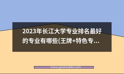 2023年长江大学专业排名最好的专业有哪些(王牌+特色专业)